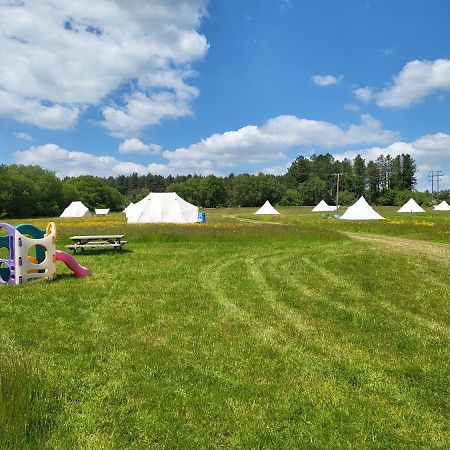 ホテル Dorset Glamping Fields Corfe Mullen エクステリア 写真
