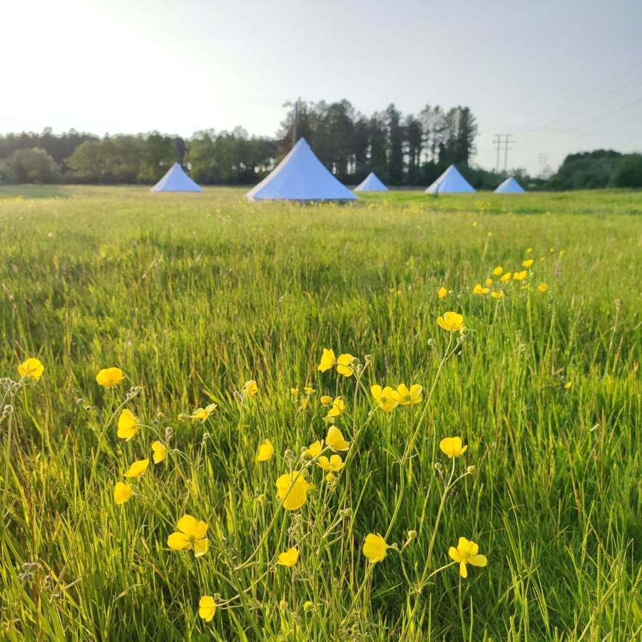 ホテル Dorset Glamping Fields Corfe Mullen エクステリア 写真
